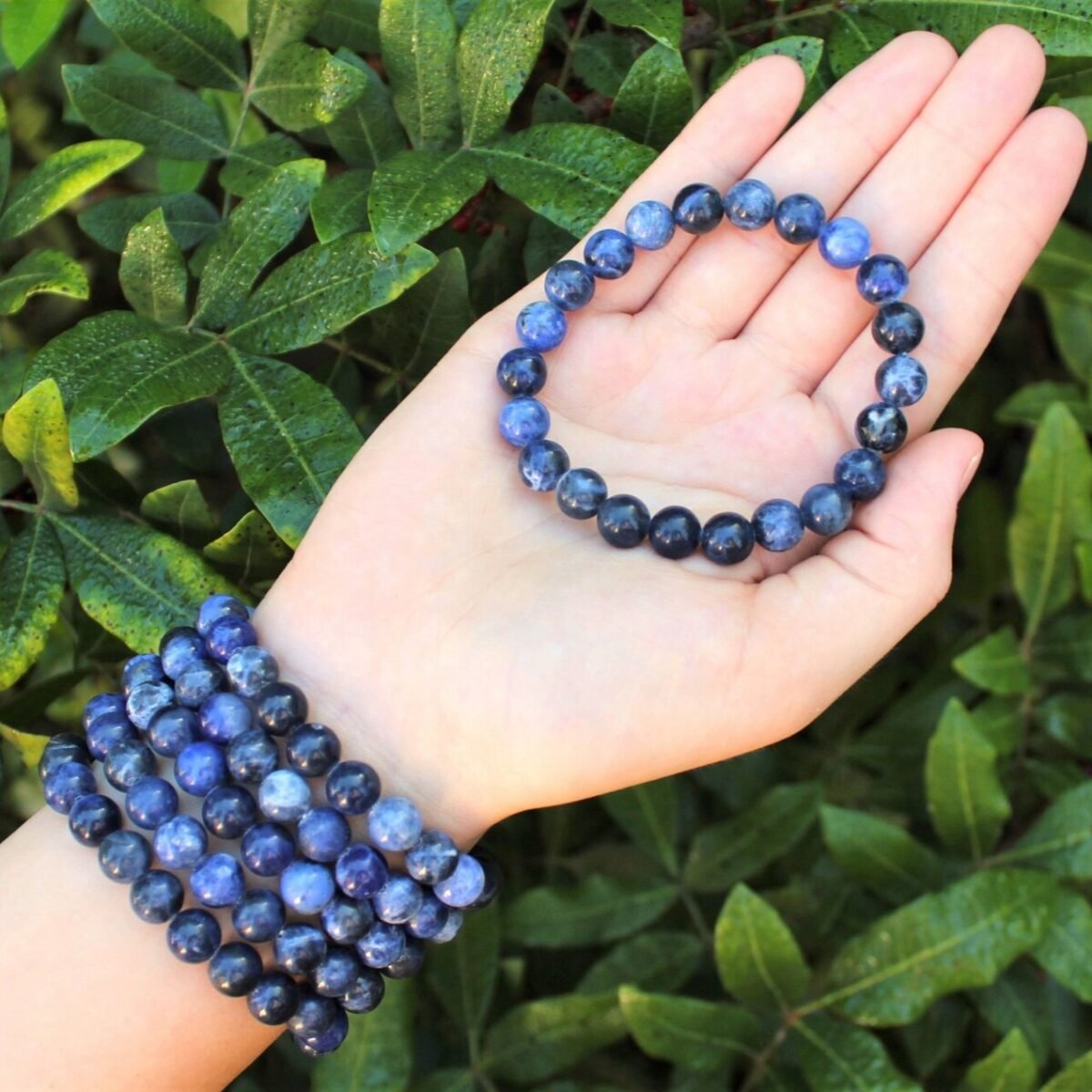Sodalite Bracelet