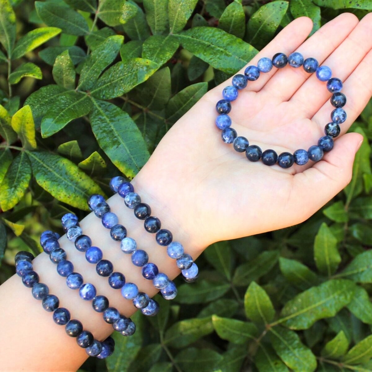 Sodalite Bracelet