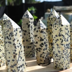 Dalmatian Jasper Pointing Tower