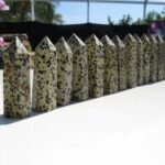 Dalmatian Jasper Pointing Tower