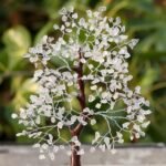 Clear Quartz Tree