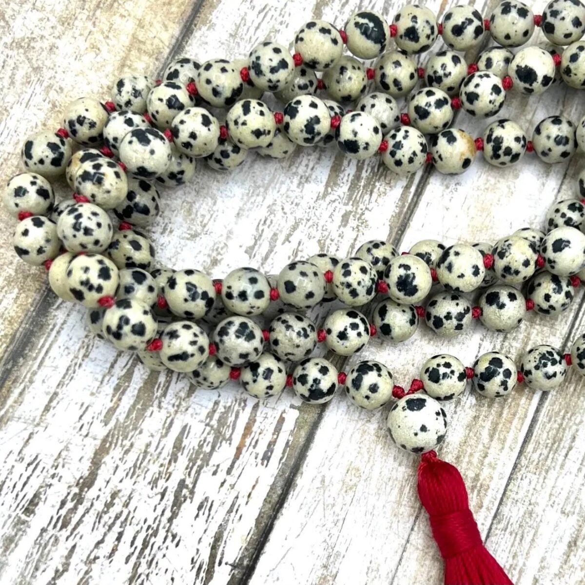 Dalmatian Jasper Mala
