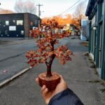 Carnelian Tree