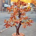 Carnelian Tree