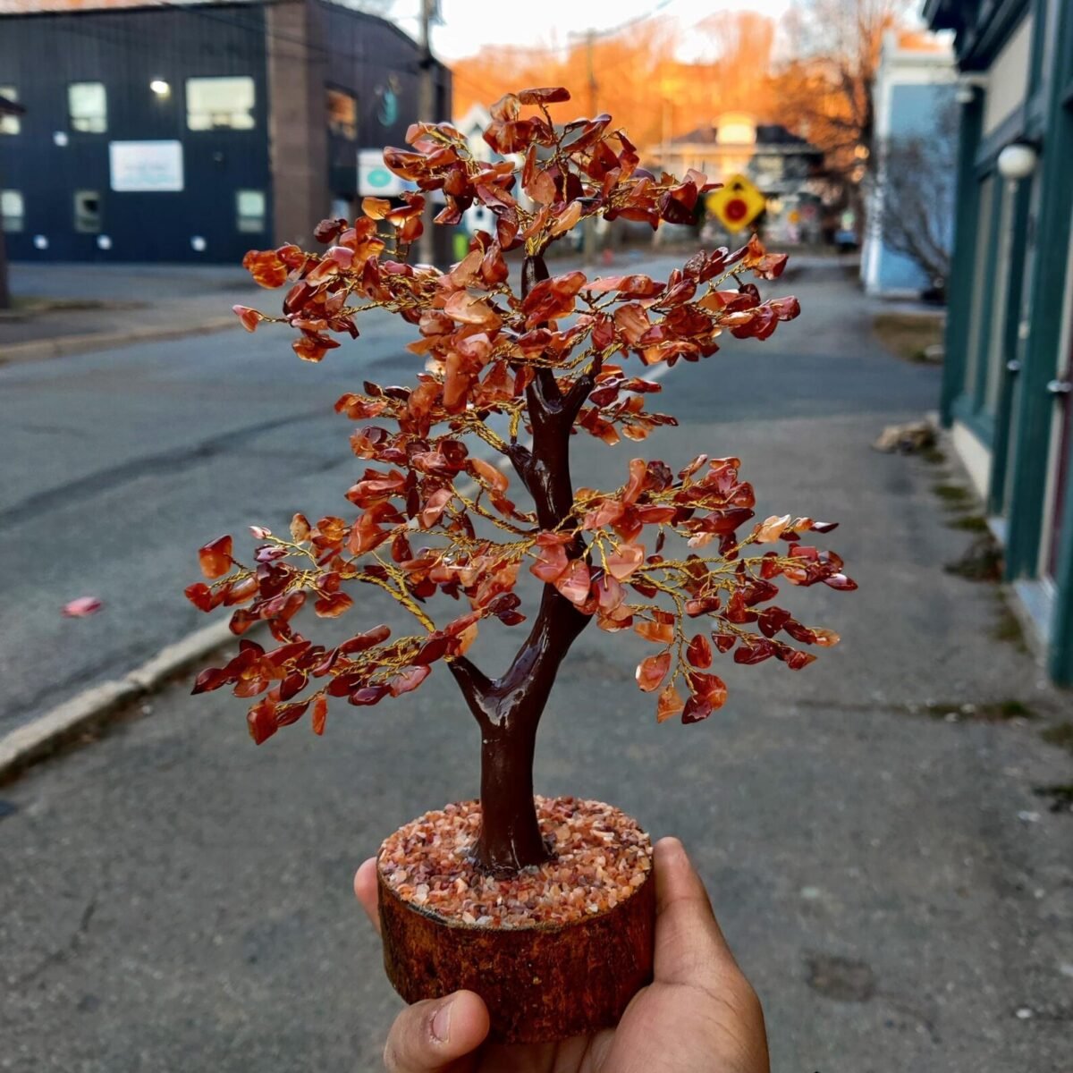Carnelian Tree
