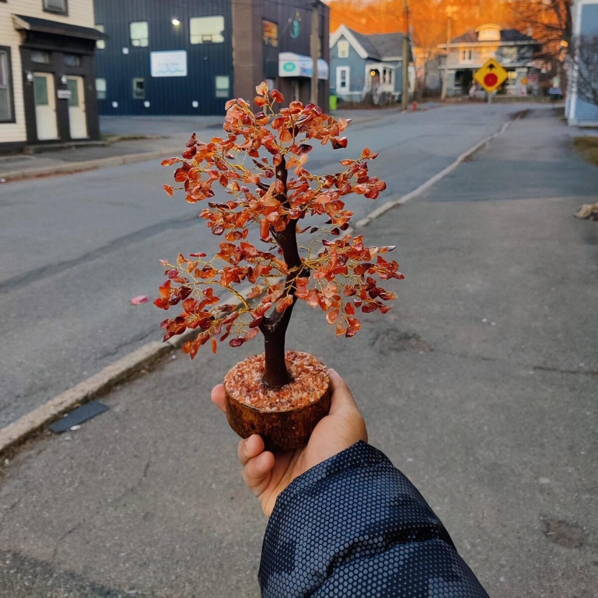 Carnelian Tree