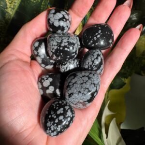 Snowflake Obsidian Tumble