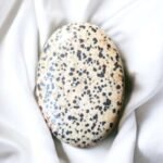 Dalmatian Jasper Palm Stone/Worry Stone