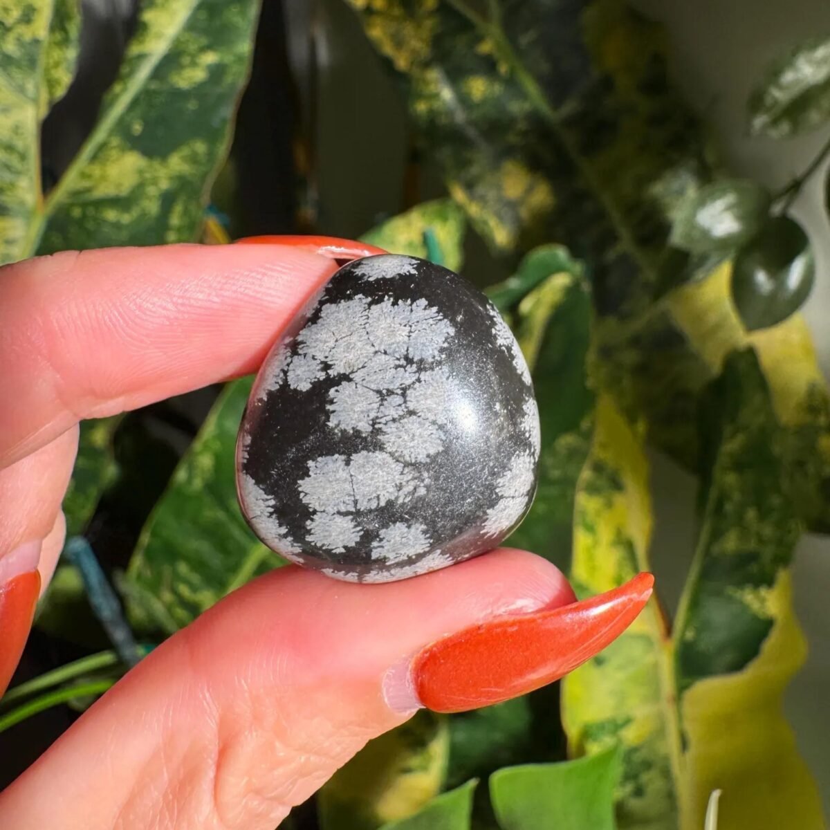 Snowflake Obsidian Tumble