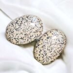 Dalmatian Jasper Palm Stone/Worry Stone