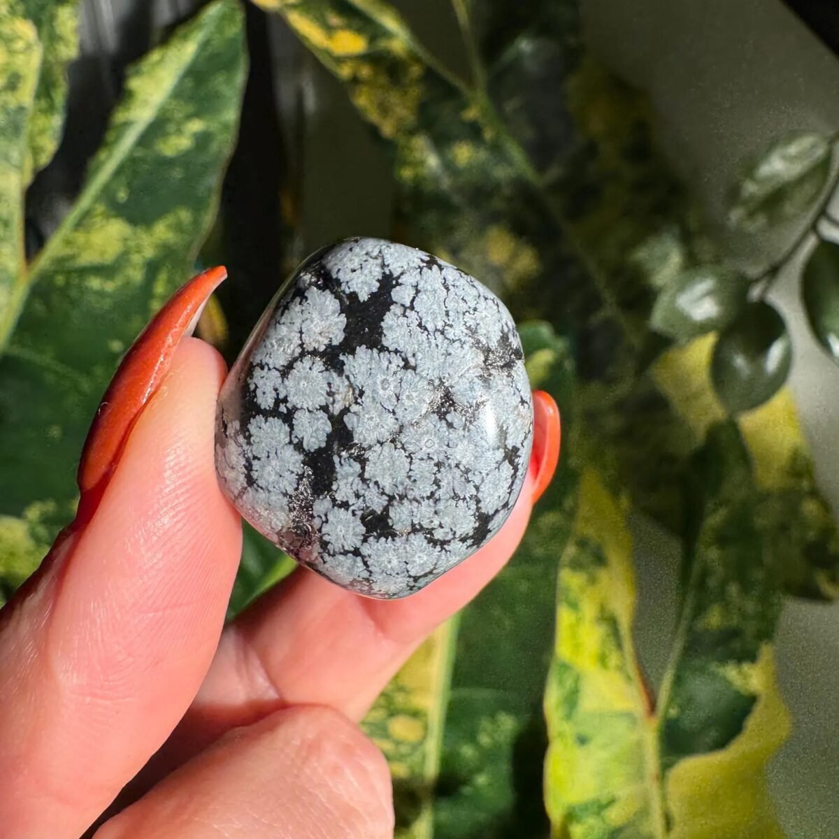 Snowflake Obsidian Tumble