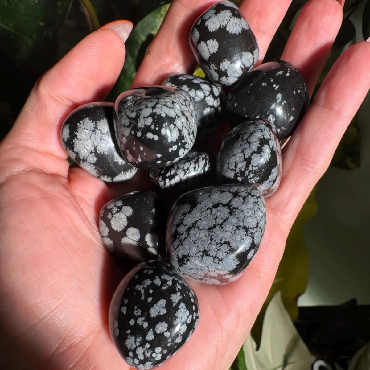 Snowflake Obsidian Tumble