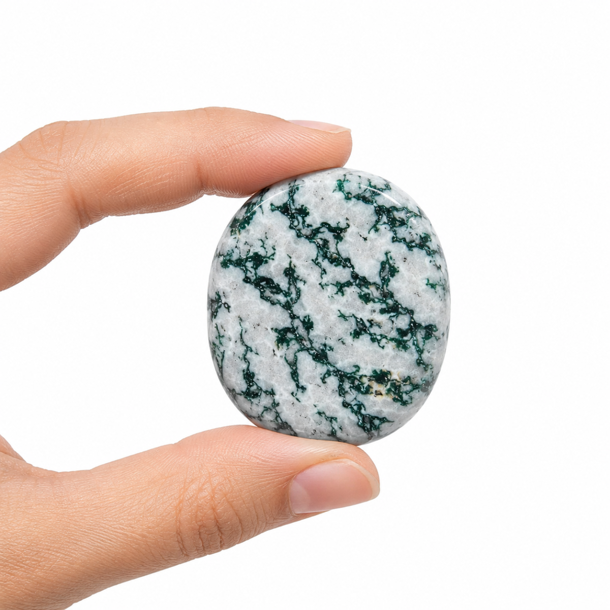 Natural Tree Agate Palm Stone / Worry Stone – Green & White Oval Crystal, GTI Certified - Image 4