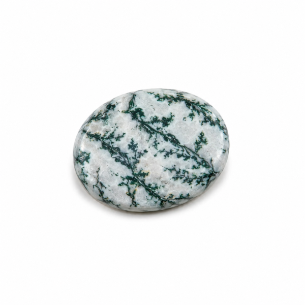 Natural Tree Agate Palm Stone Worry Stone with green dendritic patterns on a white oval stone.