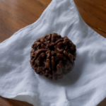 6 mukhi rudraksha