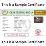 Sample Certificate of Rudraksha