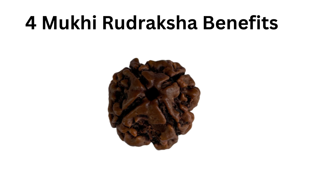 4 mukhi rudraksha 