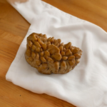 1 mukhi rudraksha