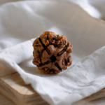 4 mukhi rudraksha