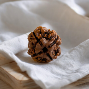 4 mukhi rudraksha