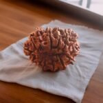 11 mukhi rudraksha