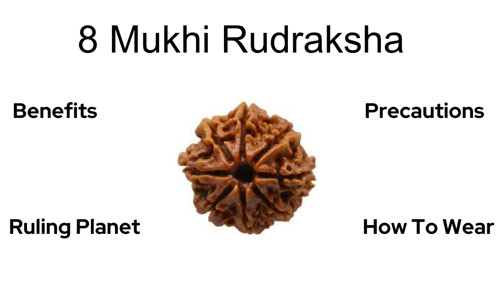8 mukhi rudraksha