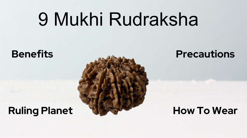 9 mukhi rudraksha
