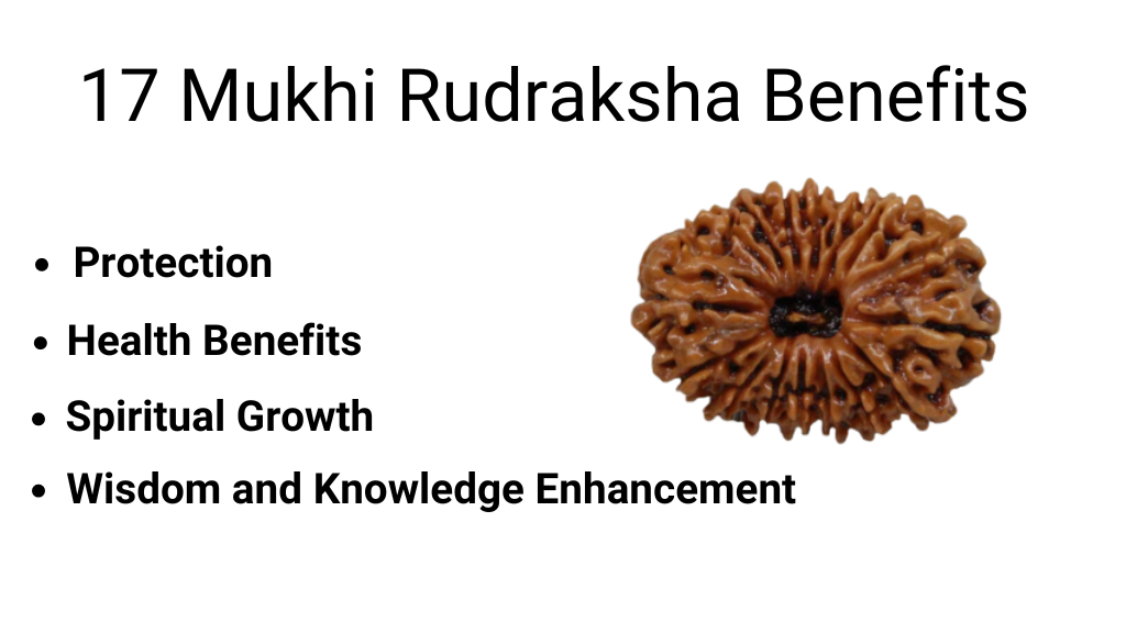 17 Mukhi Rudraksha