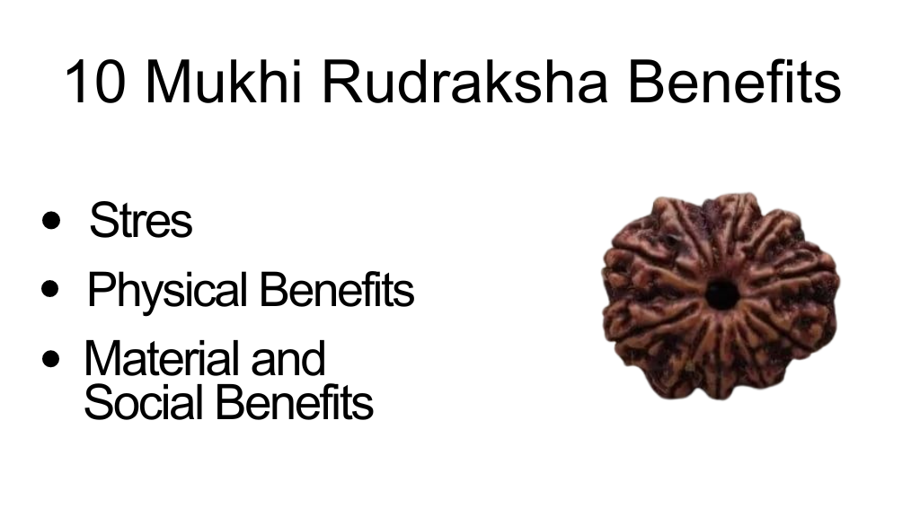 10 Mukhi Rudraksha