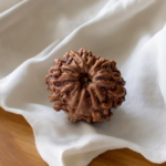 9 mukhi rudraksha