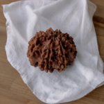 8 mukhi rudraksha