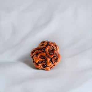 3 mukhi rudraksha