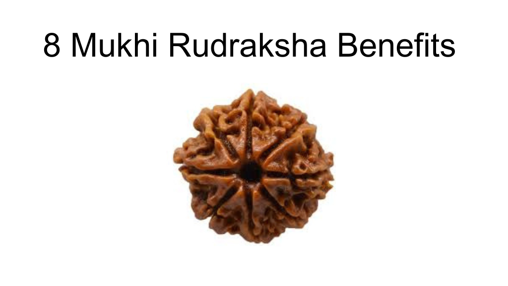 8 mukhi rudraksha