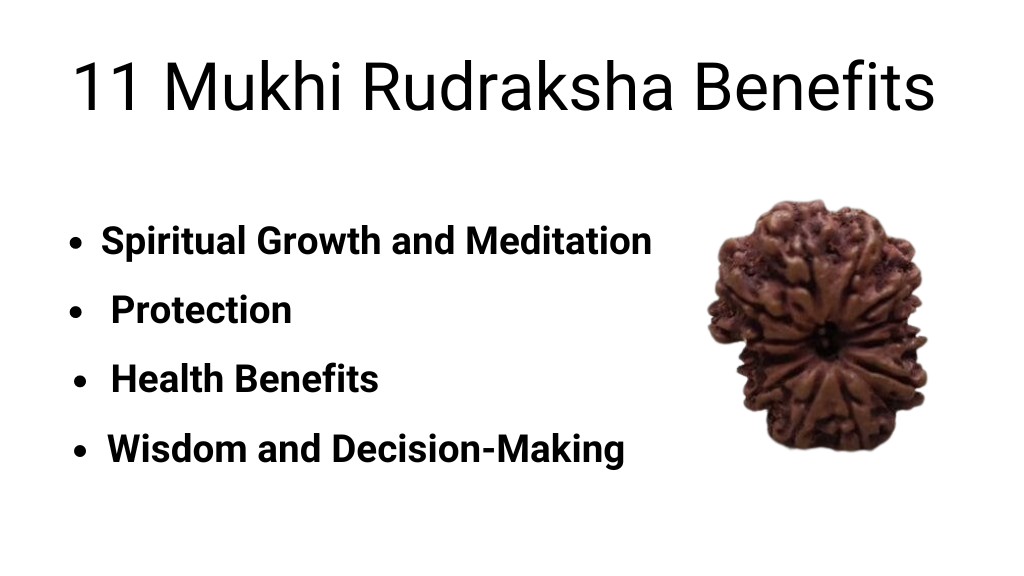 11 Mukhi Rudraksha