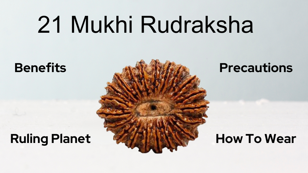 21 Mukhi Rudraksha