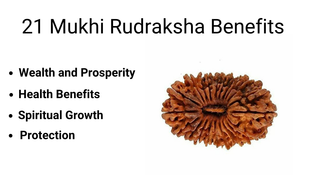 21 Mukhi Rudraksha