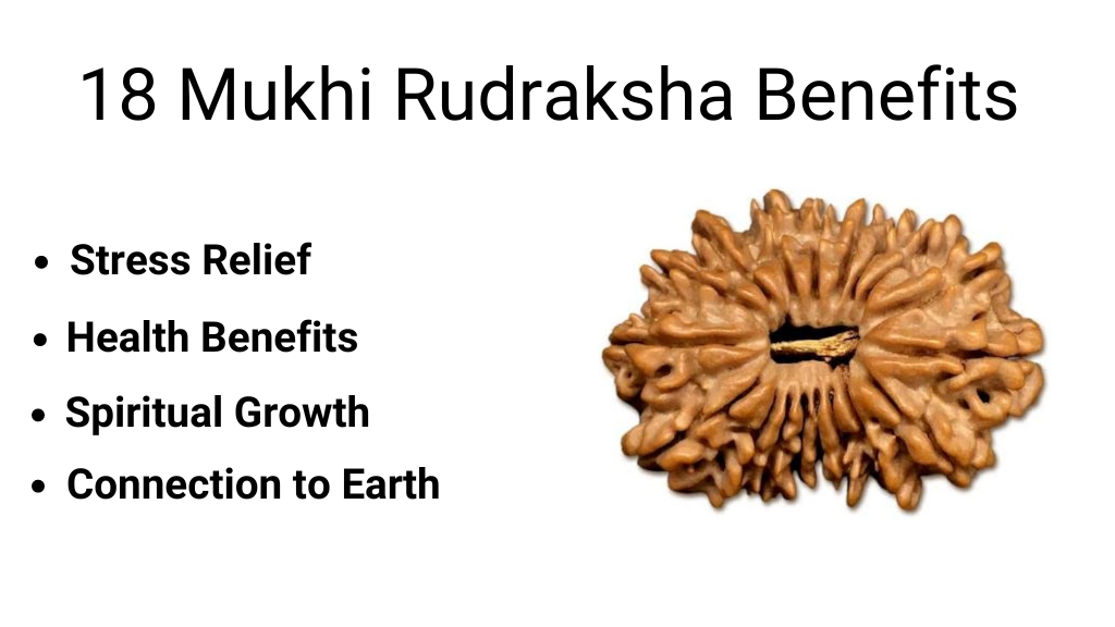 18 Mukhi Rudraksha 