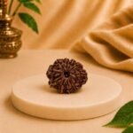 Close-up of Original Nepal 10 Mukhi Rudraksha with natural dark brown texture on premium display stand.