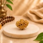 Side profile of Certified Natural 2 Mukhi Rudraksha showing authentic texture and naturally formed mukhi lines.