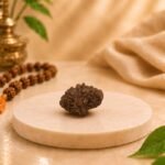Natural 2 Mukhi Rudraksha front view on marble podium showing authentic mukhi lines, certified original Indian Rudraksha for meditation and spiritual practices.