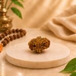 Bottom view of Natural 2 Mukhi Rudraksha displaying authentic natural grooves and original mukhi structure on premium marble background.