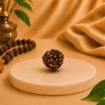 Original natural 3 Mukhi Rudraksha bead placed on a white display platform with a premium background for spiritual healing and meditation.