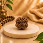 Natural 4 Mukhi Rudraksha front view with authentic natural mukhi lines on a premium marble display for spiritual practices and meditation.