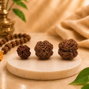 Collection of three Natural 4 Mukhi Rudraksha beads in different sizes displayed on a premium marble platform with a luxury spiritual background.