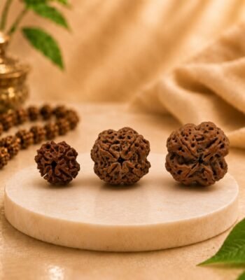 Collection of three Natural 4 Mukhi Rudraksha beads in different sizes displayed on a premium marble platform with a luxury spiritual background.