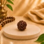 Top view of a Certified Natural Nepal Origin 5 Mukhi Rudraksha displaying authentic natural mukhi lines and premium quality.