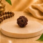 Front view of a Certified Natural Nepal Origin 5 Mukhi Rudraksha showing authentic natural mukhi lines and premium bead texture.