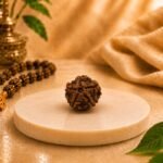 Back view of a Certified Natural Nepal Origin 5 Mukhi Rudraksha showing authentic natural mukhi lines and premium bead quality.