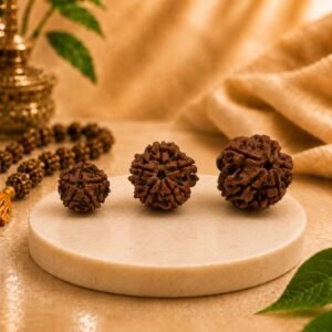 Certified Natural Nepal Origin 5 Mukhi Rudraksha collection displaying authentic Rudraksha beads with naturally formed mukhi lines on a premium marble podium.