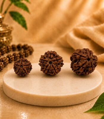 Certified Natural Nepal Origin 5 Mukhi Rudraksha collection displaying authentic Rudraksha beads with naturally formed mukhi lines on a premium marble podium.